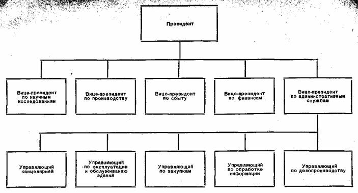 Административные службы: централизованная (функциональная) система