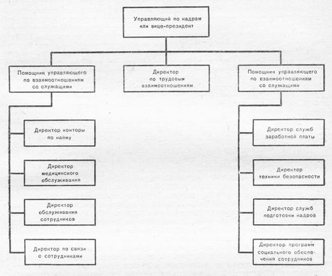 Организация отдела кадров в компании средних размеров